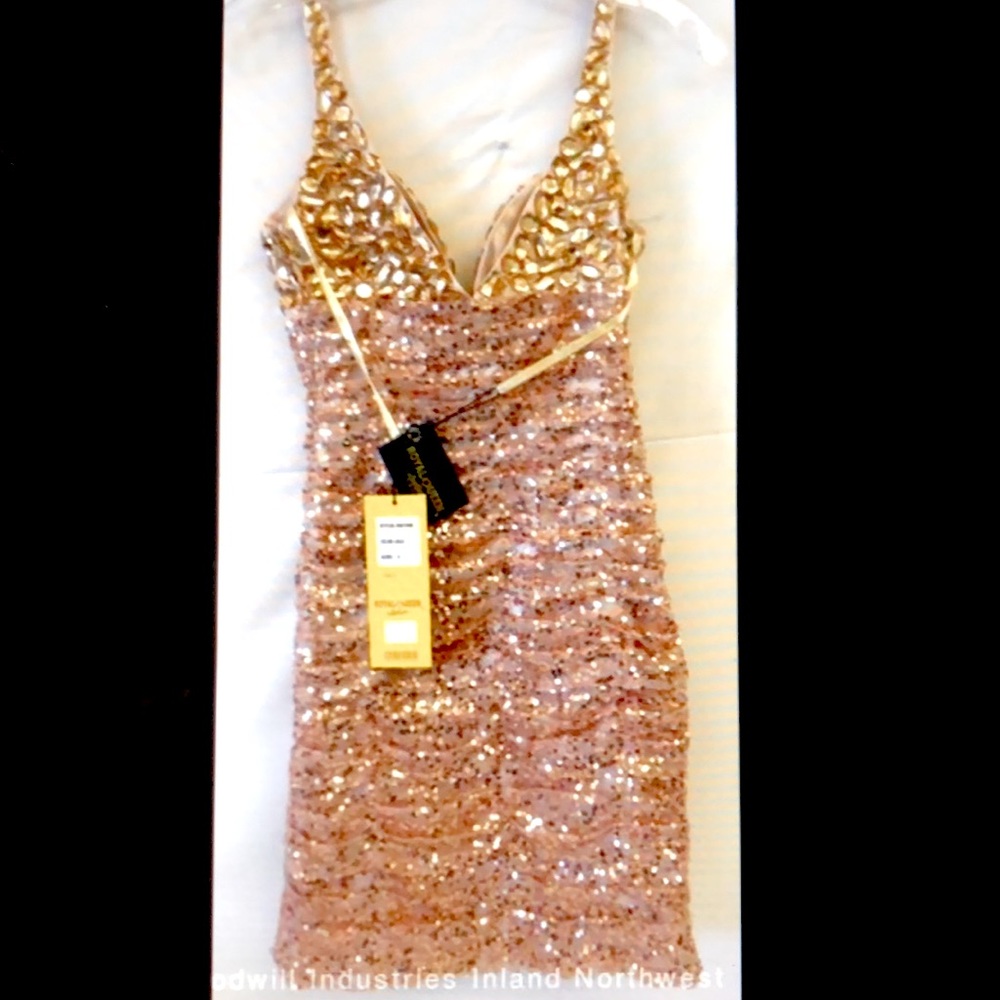 ❤️CLEARANCE🌺NWT Royal Queen blush dress Sz 6